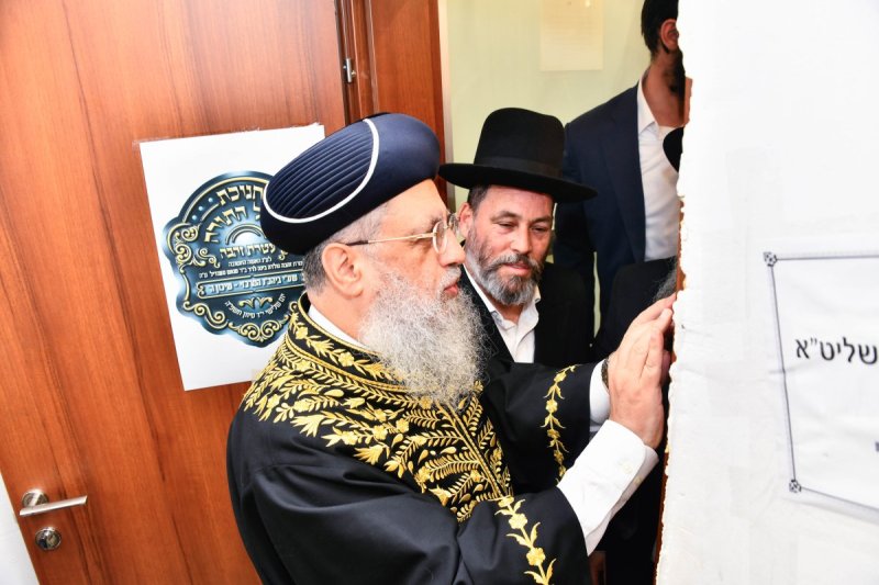 יהודה פרקוביץ