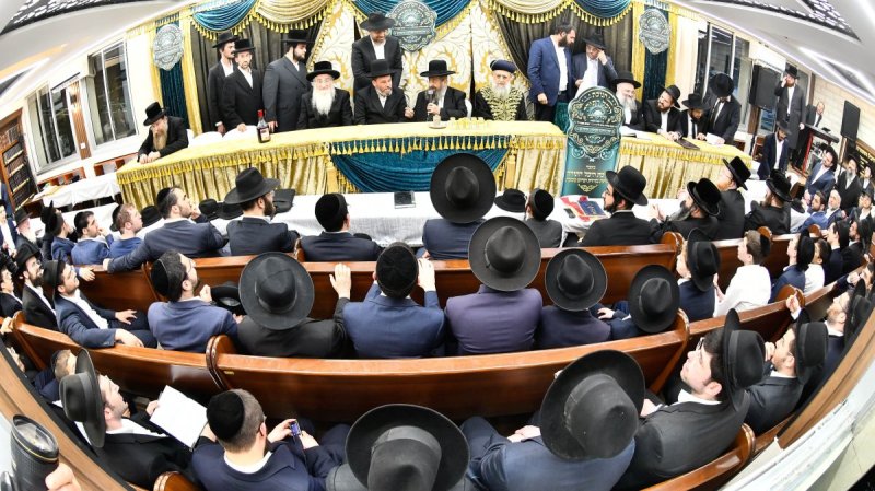 יהודה פרקוביץ