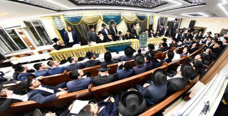 יהודה פרקוביץ