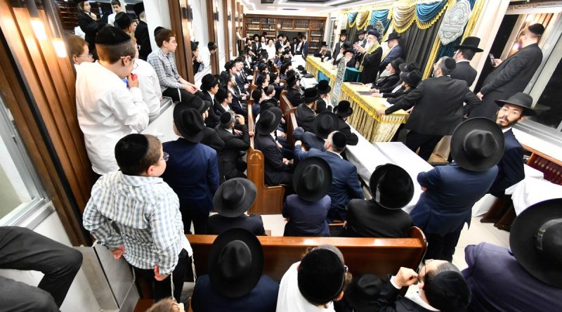 יהודה פרקוביץ