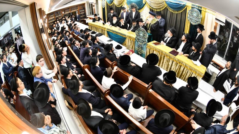 יהודה פרקוביץ