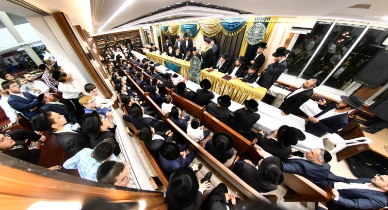 יהודה פרקוביץ