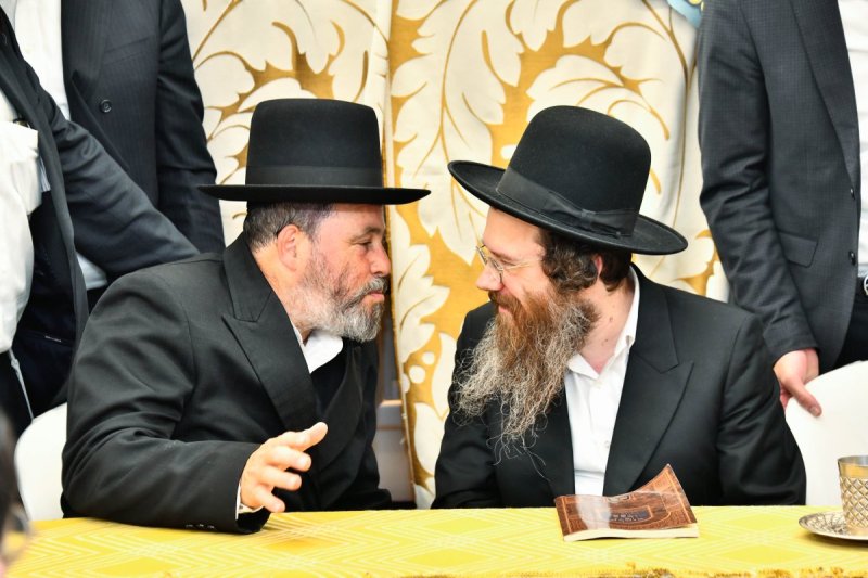 יהודה פרקוביץ