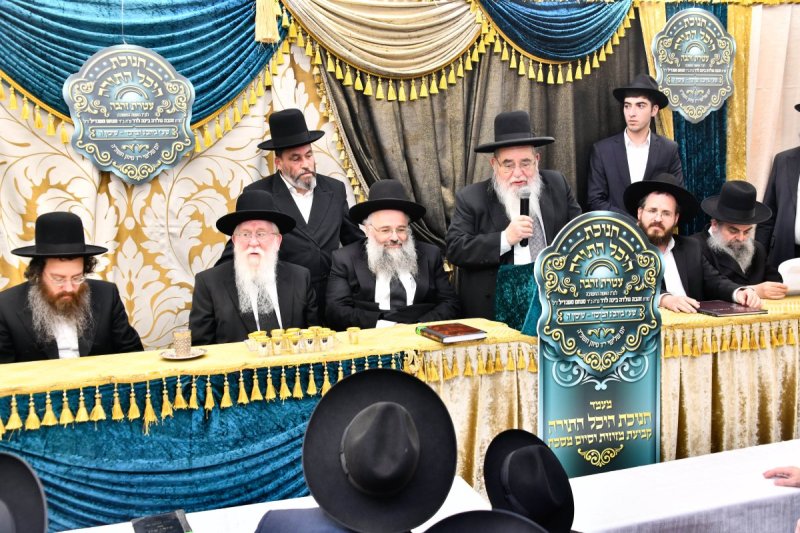 יהודה פרקוביץ