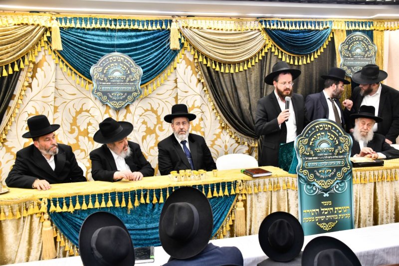 יהודה פרקוביץ