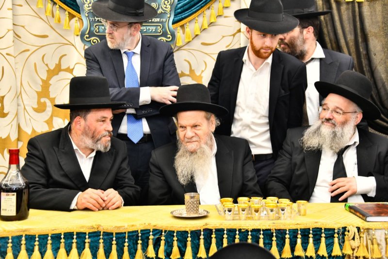 יהודה פרקוביץ