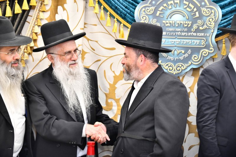 יהודה פרקוביץ