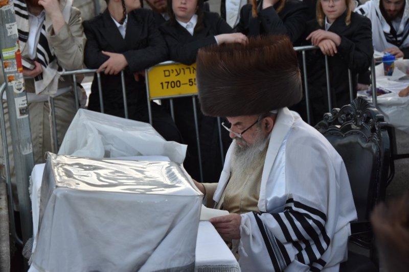 י.ש. חיימסון