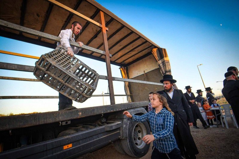 ארי קופרשטוק