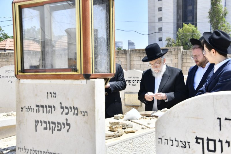 שוקי לרר