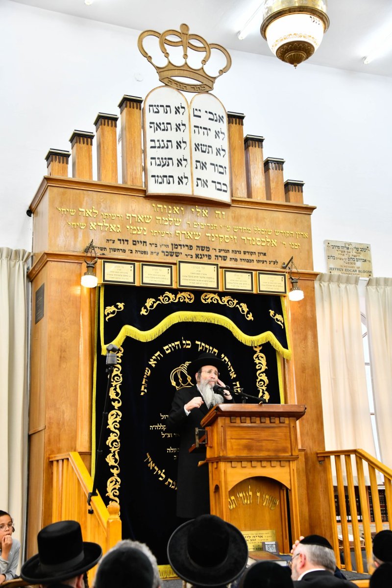 שוקי לרר