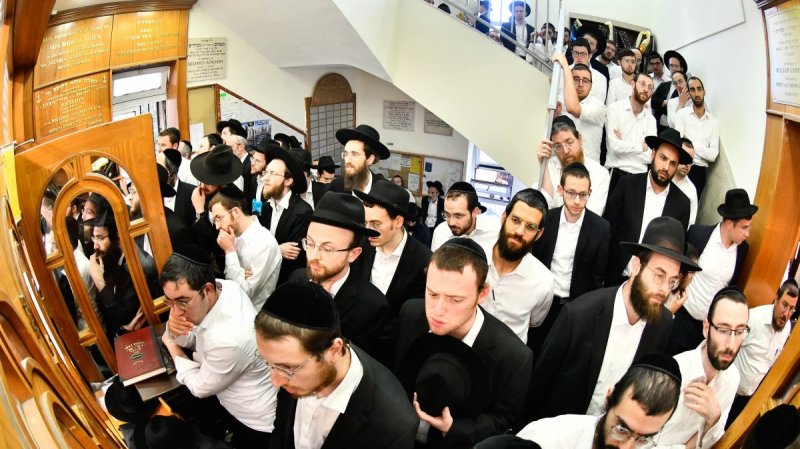 שוקי לרר