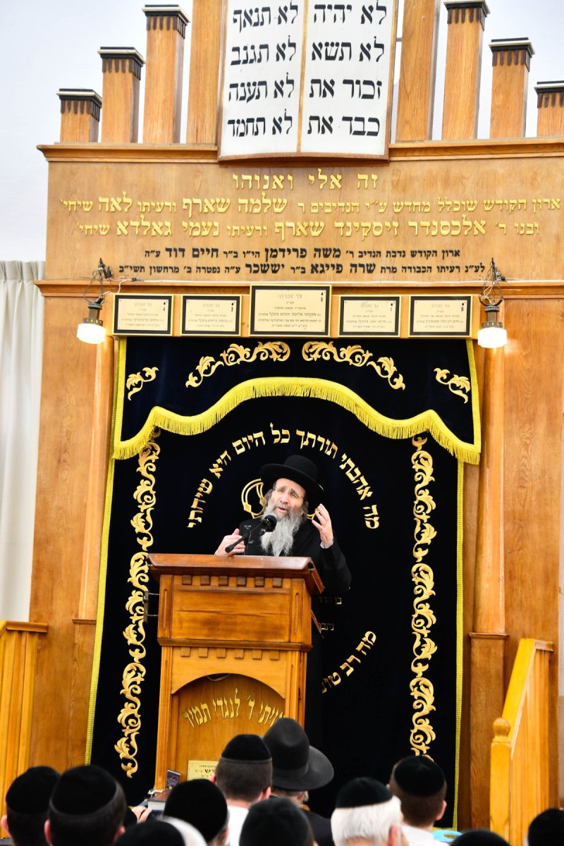 שוקי לרר