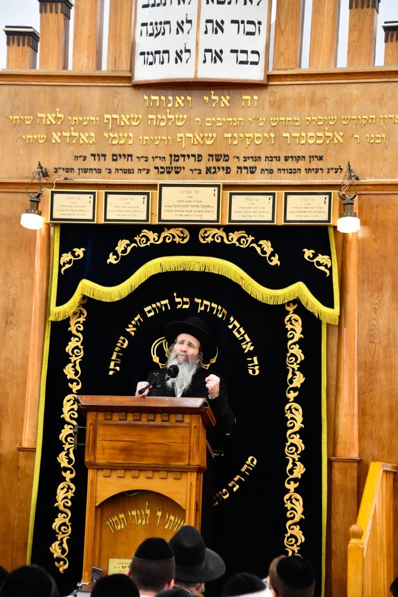 שוקי לרר
