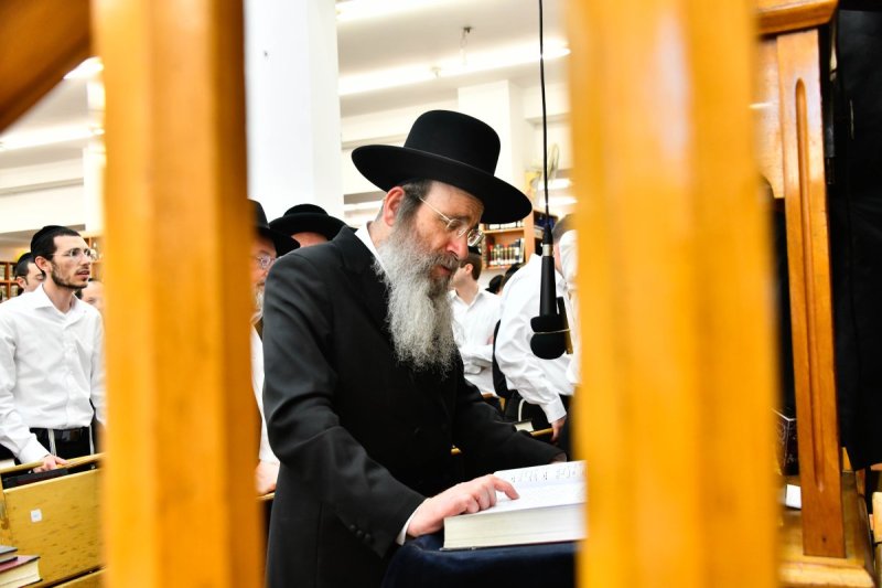 שוקי לרר