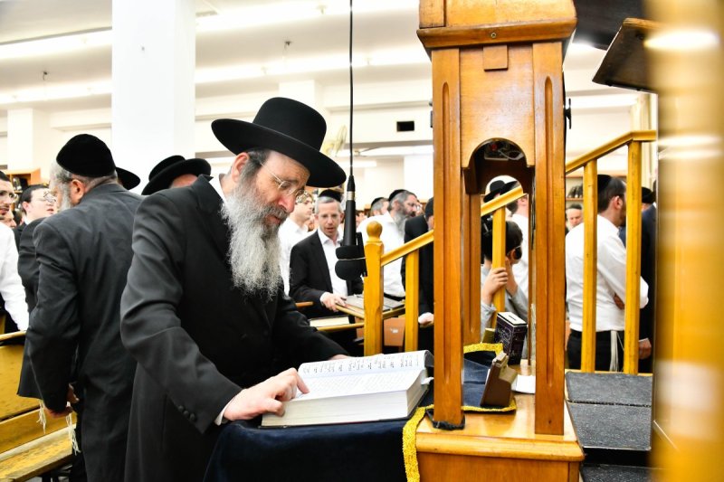 שוקי לרר