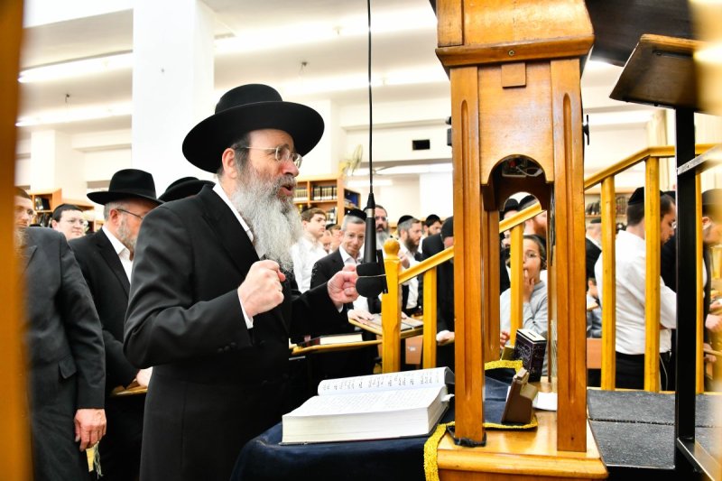 שוקי לרר