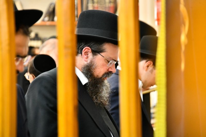 שוקי לרר