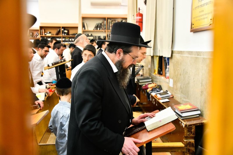 שוקי לרר