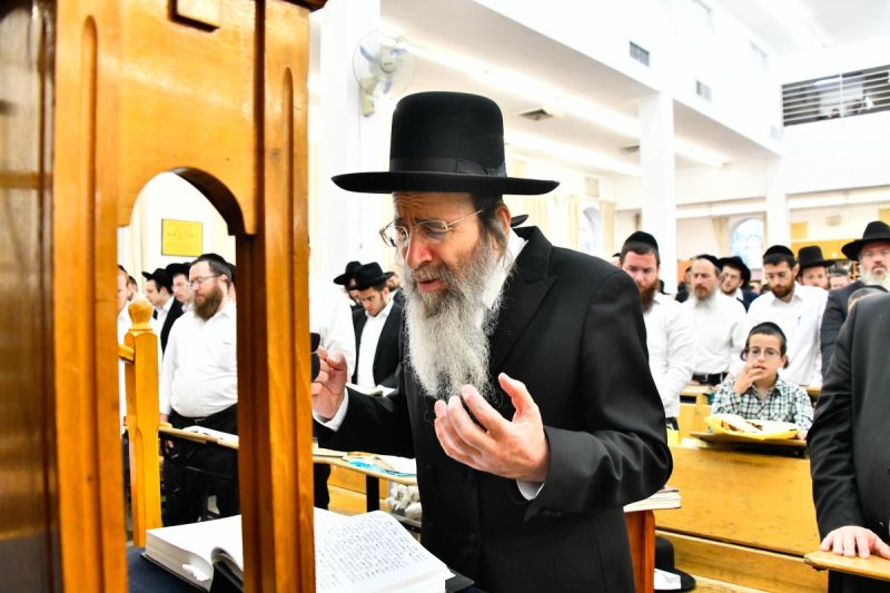 שוקי לרר