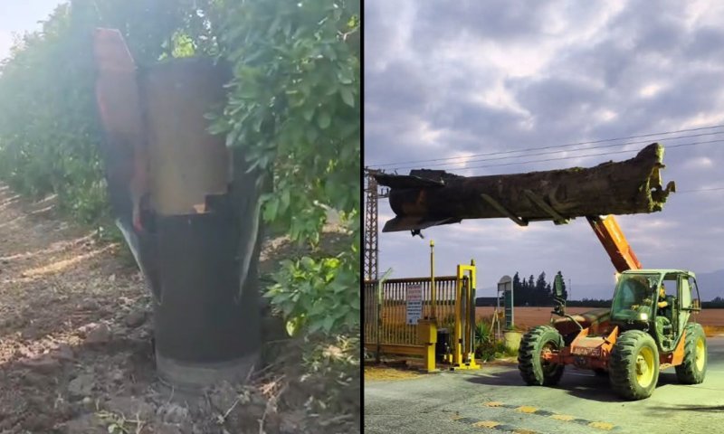 תיעוד: טיל איראני התגלה בשלמותו בפרדס בעמק הירדן