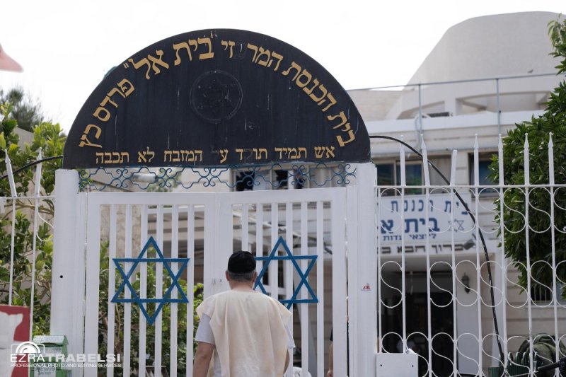 עזרא טרבלסי