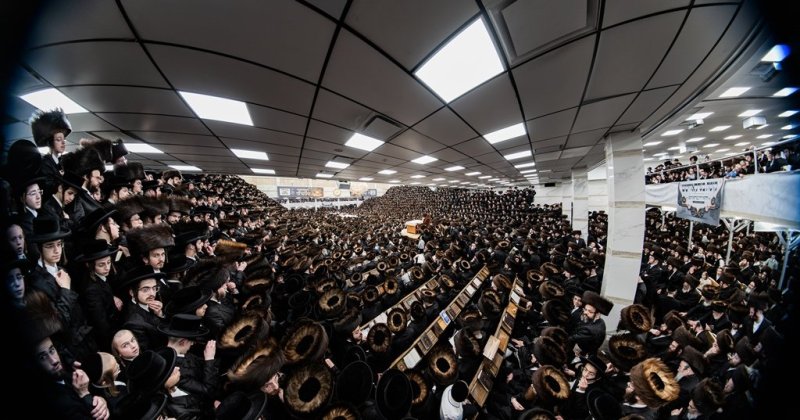 י. שטיין