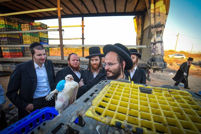 ארי קופרשטוק