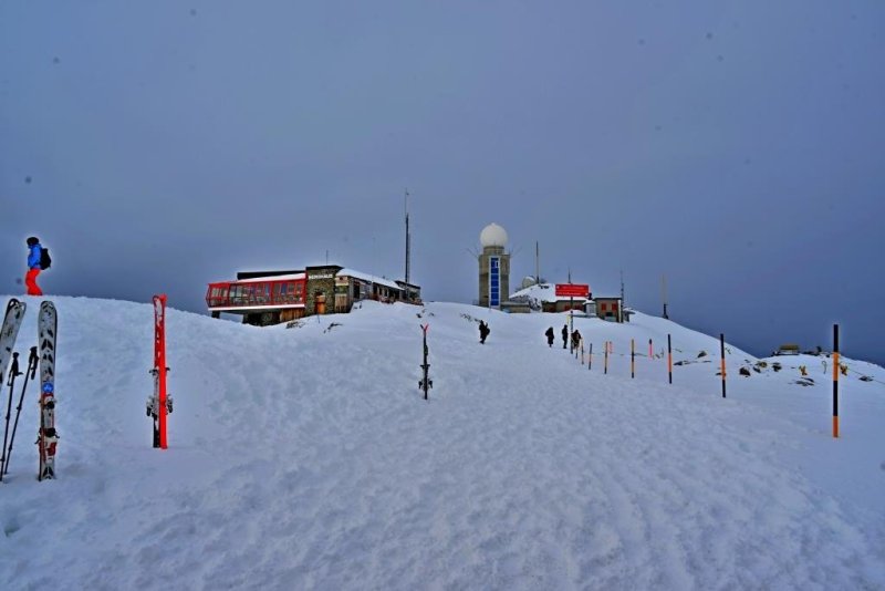 יהושע פרוכטר