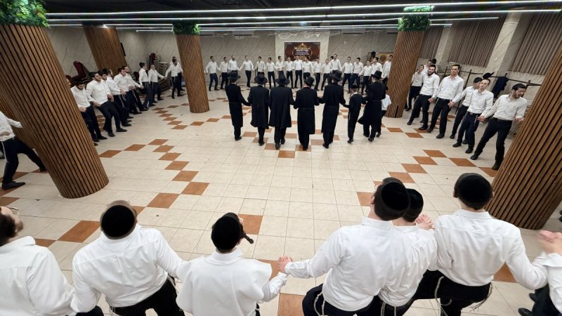 אלעזר פיינשטיין