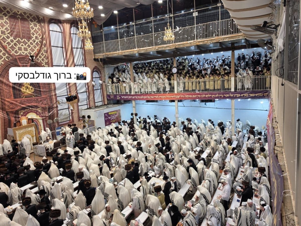 ברוך גודלבסקי