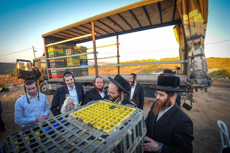 ארי קופרשטוק