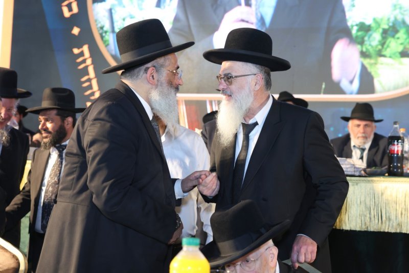 יעקב כהן