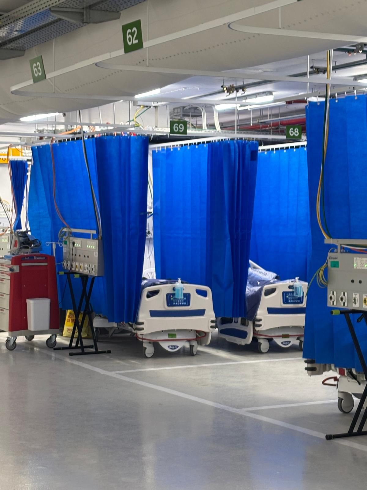 דוברות הדסה