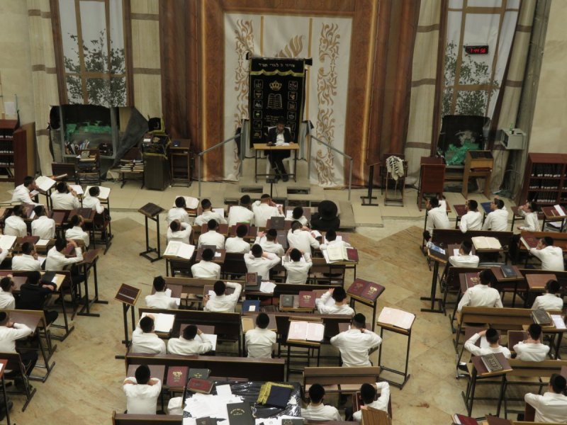  שוקי לרר, ש.פ.ה, מערכת משולחנם, ארכיון