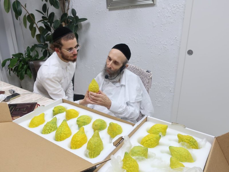  שוקי לרר, ש.פ.ה, מערכת משולחנם, ארכיון