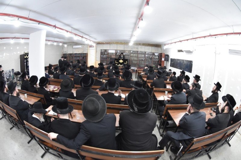 יהודה פרקוביץ