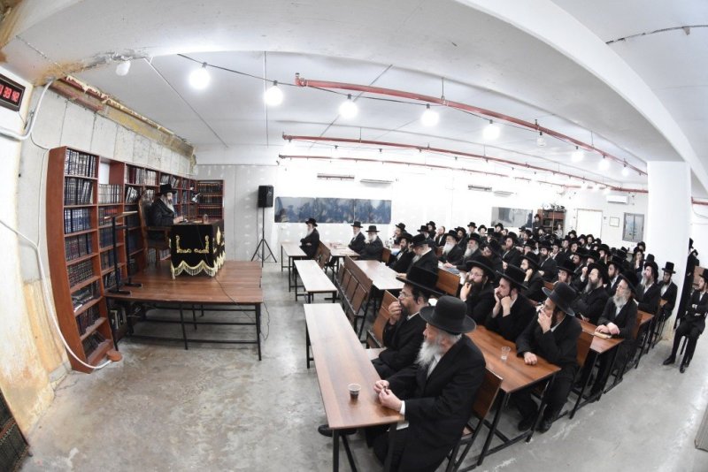 יהודה פרקוביץ