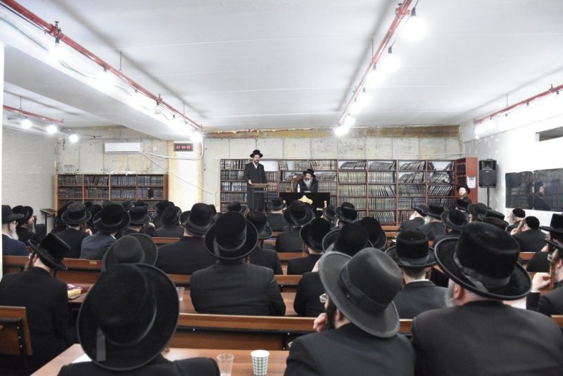 יהודה פרקוביץ