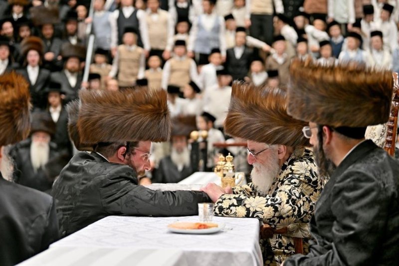 יהושע פרוכטר