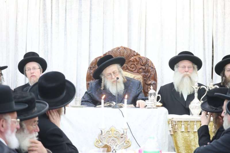 שלומי טריכטר