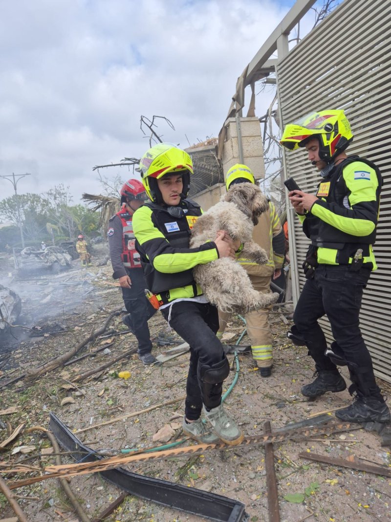 תיעוד מבצעי מד"א
