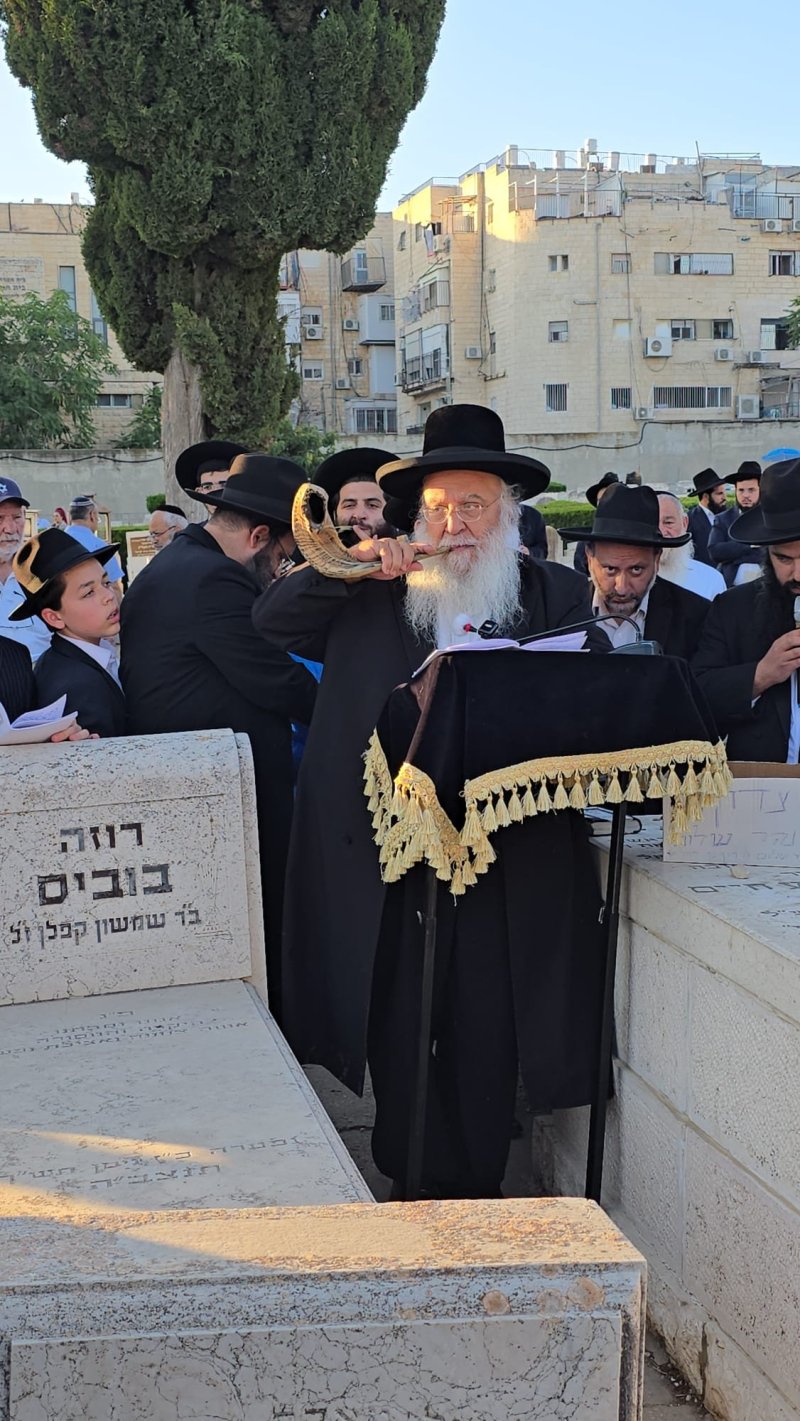 באדיבות המצלם