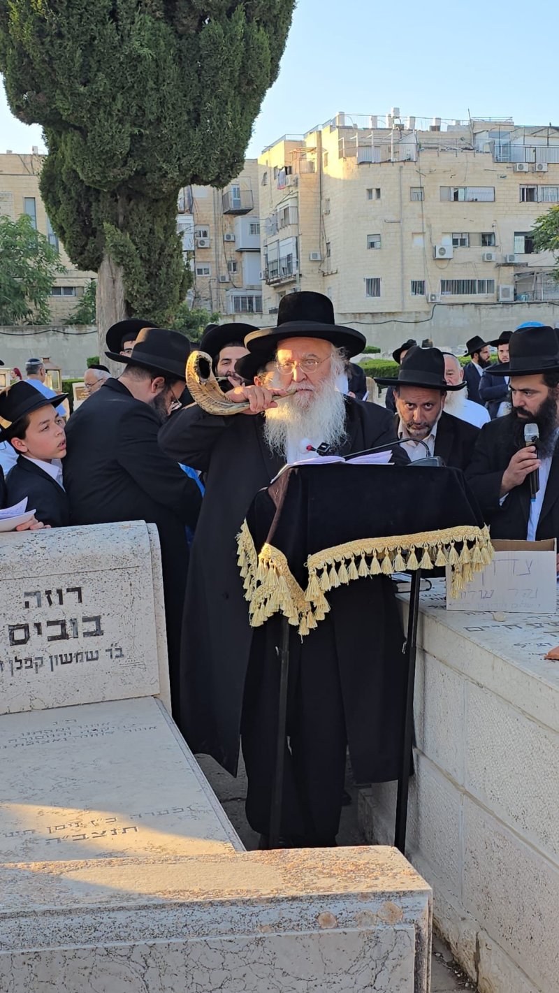 באדיבות המצלם