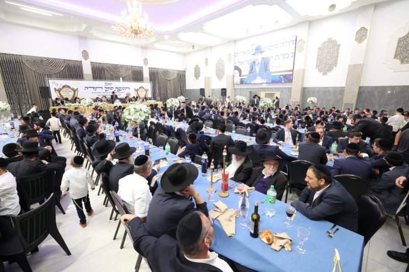 קובי הר צבי