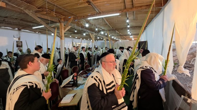 באדיבות המצלם