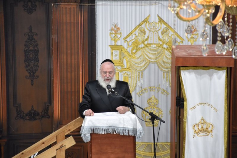 יהודה פרקוביץ