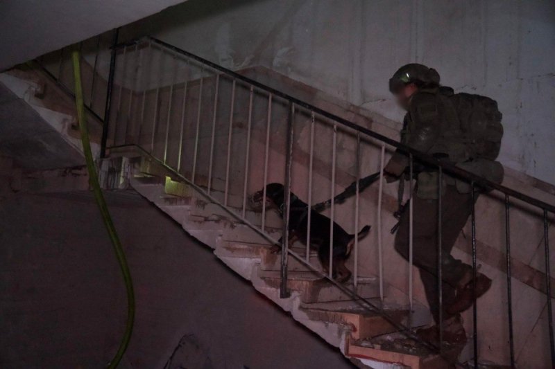 דובר צה"ל