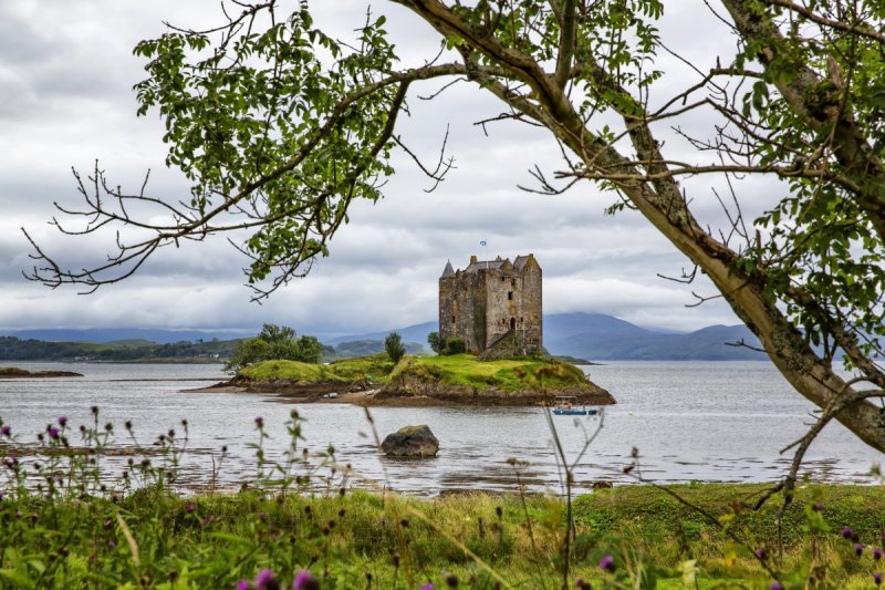 <blat>shutterstock</blat>