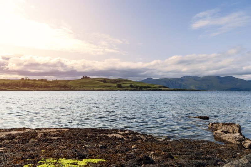 <blat>shutterstock</blat>